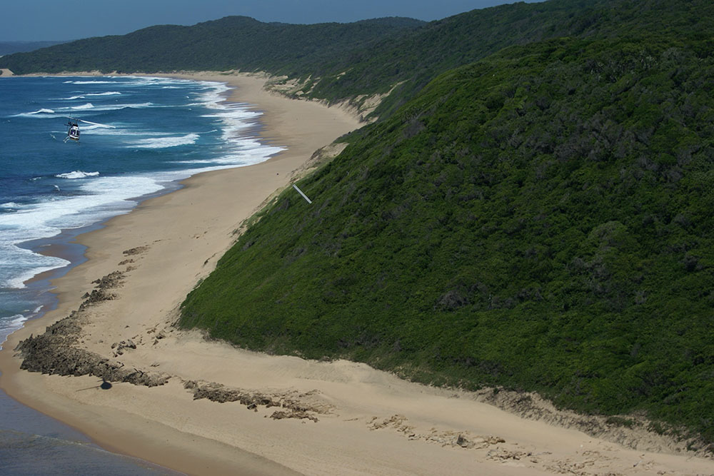 Coastal dune forest, KwaZulu Natal, South Africa